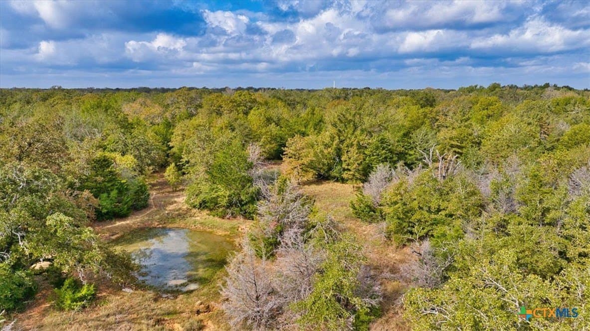 189 acres in Milam County - photo 10