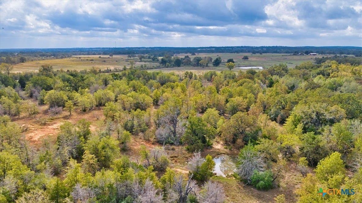 189 acres in Milam County - photo 12