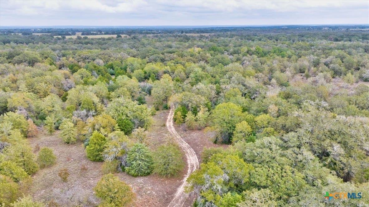 189 acres in Milam County - photo 4