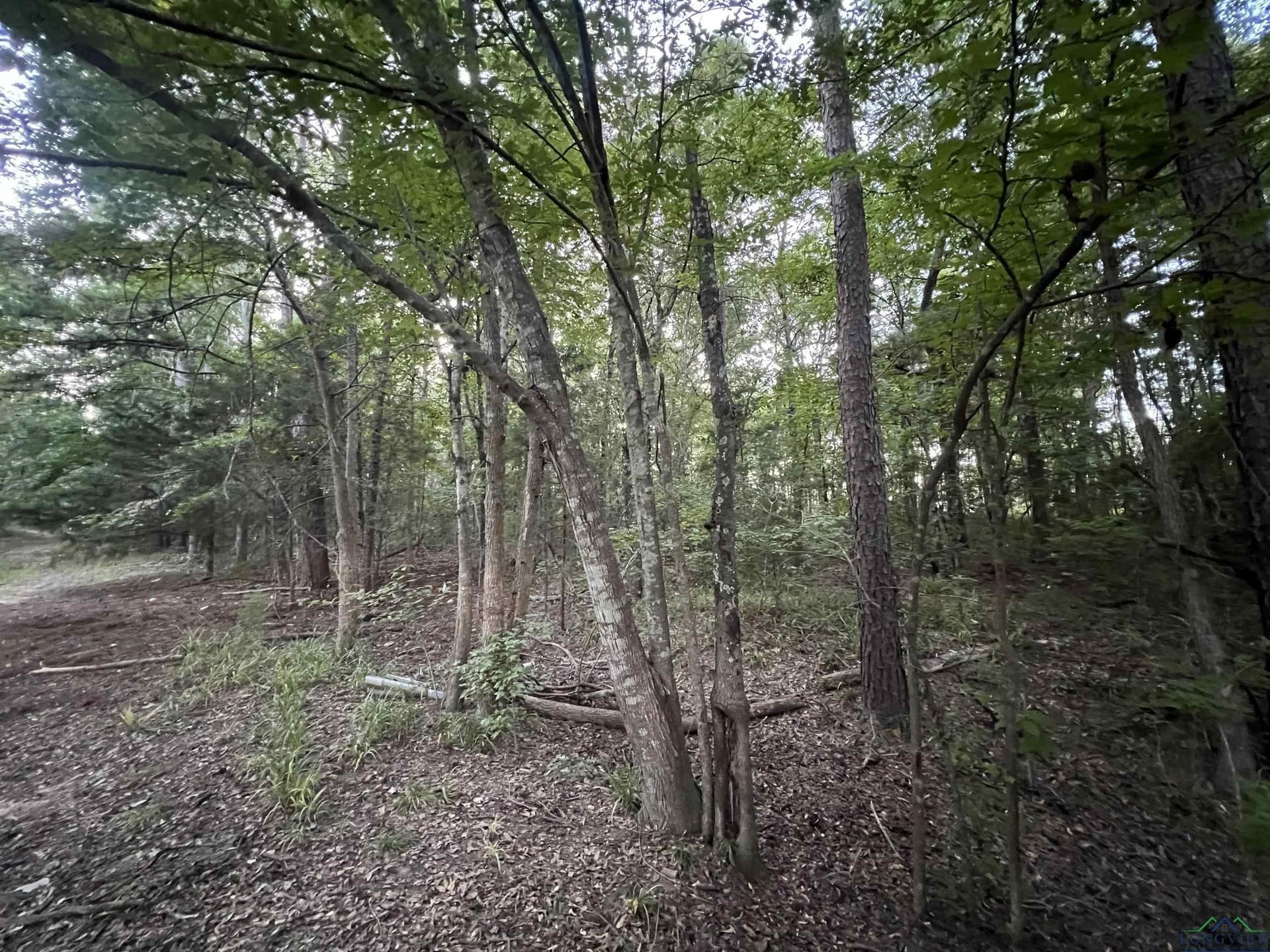 1.6 acres in Upshur County - photo 3