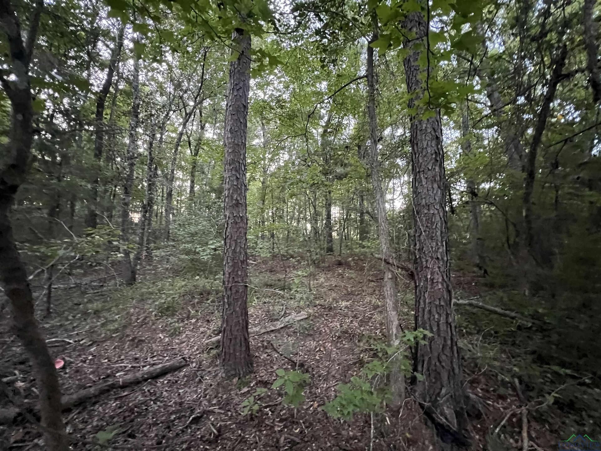 1.6 acres in Upshur County - photo 4