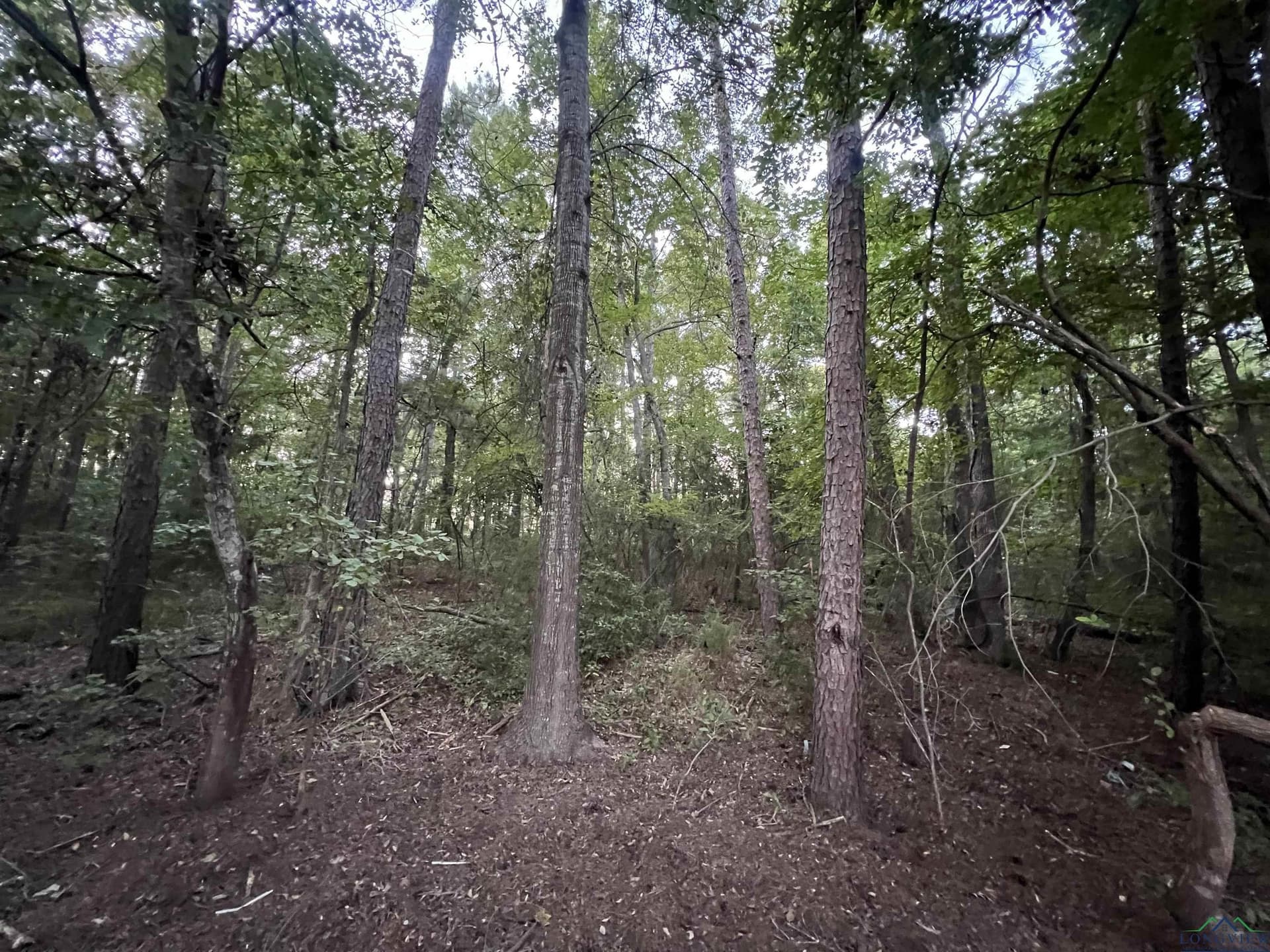 1.6 acres in Upshur County - photo 2