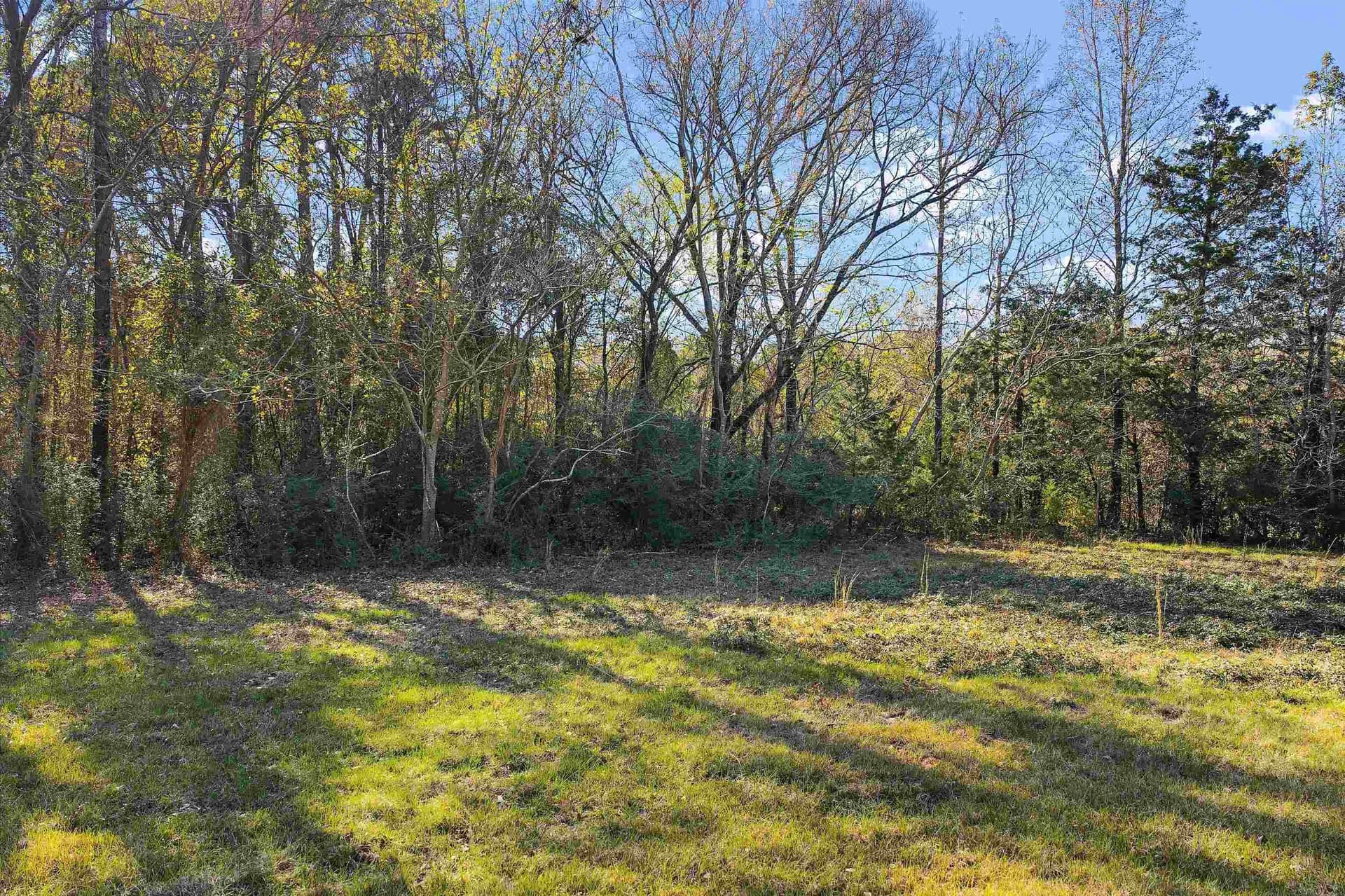 13.52 acres in Morris County - photo 12