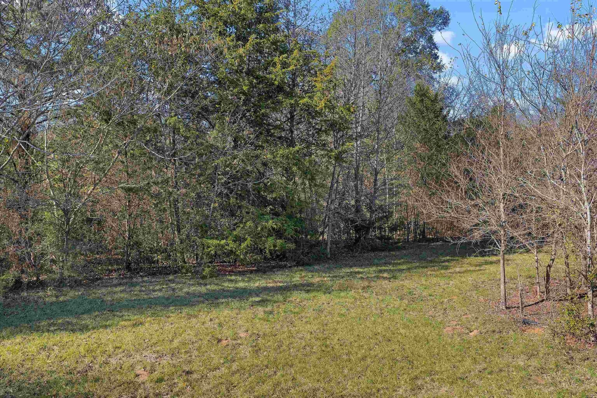 13.52 acres in Morris County - photo 9