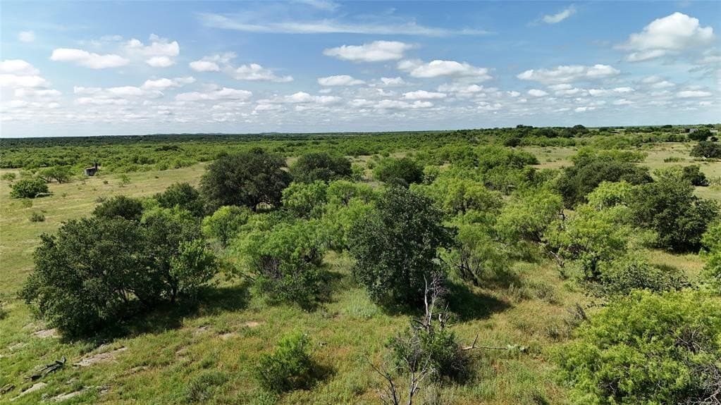 160 acres in Young County - photo 22