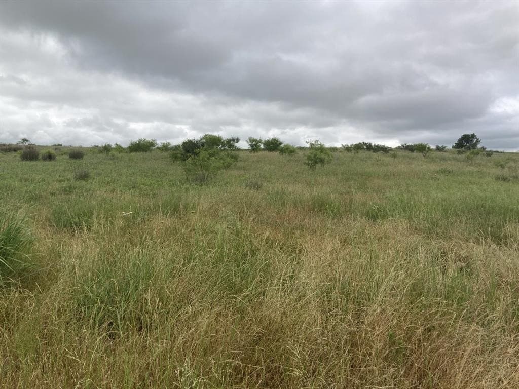 160 acres in Young County - photo 2