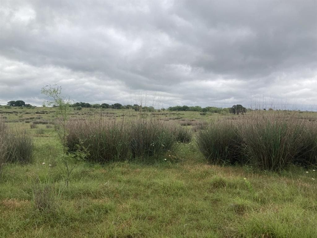160 acres in Young County - photo 6