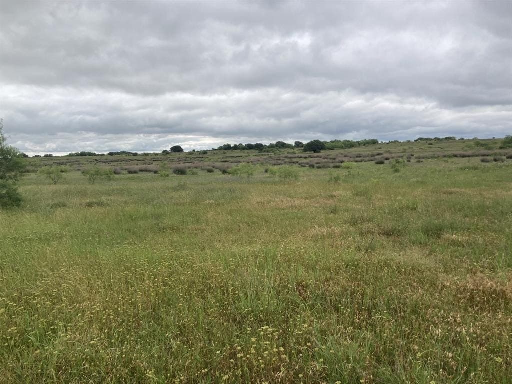 160 acres in Young County - photo 7