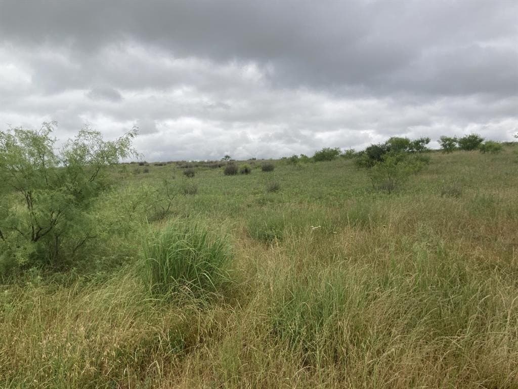 160 acres in Young County - photo 4