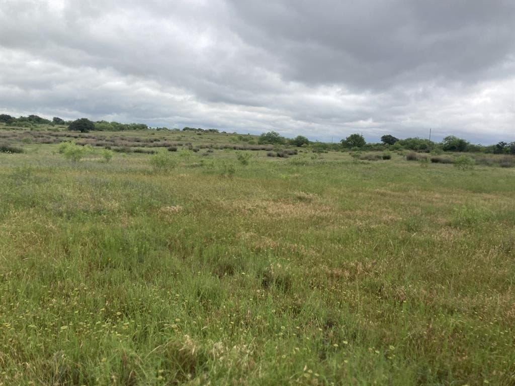 160 acres in Young County - photo 11
