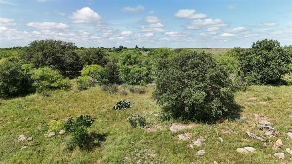 160 acres in Young County - photo 20
