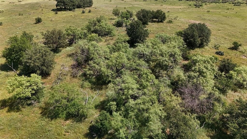 160 acres in Young County - photo 29