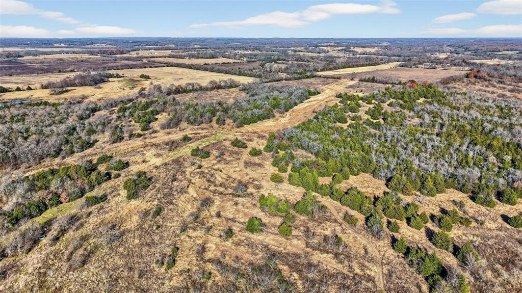 91 acres in Grayson County - photo 17