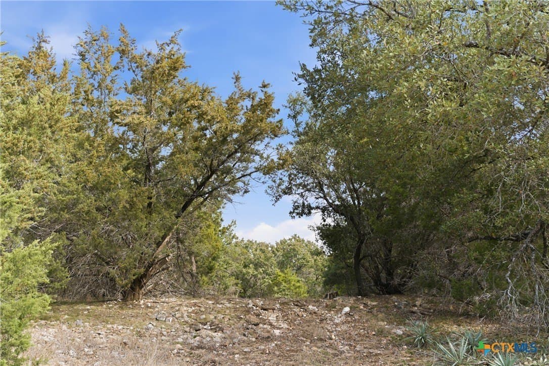 32 acres in Bell County - photo 3