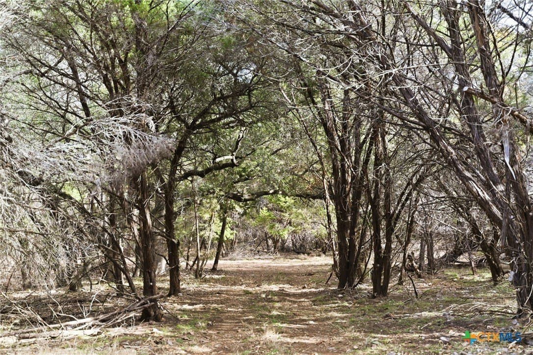 32 acres in Bell County - photo 10