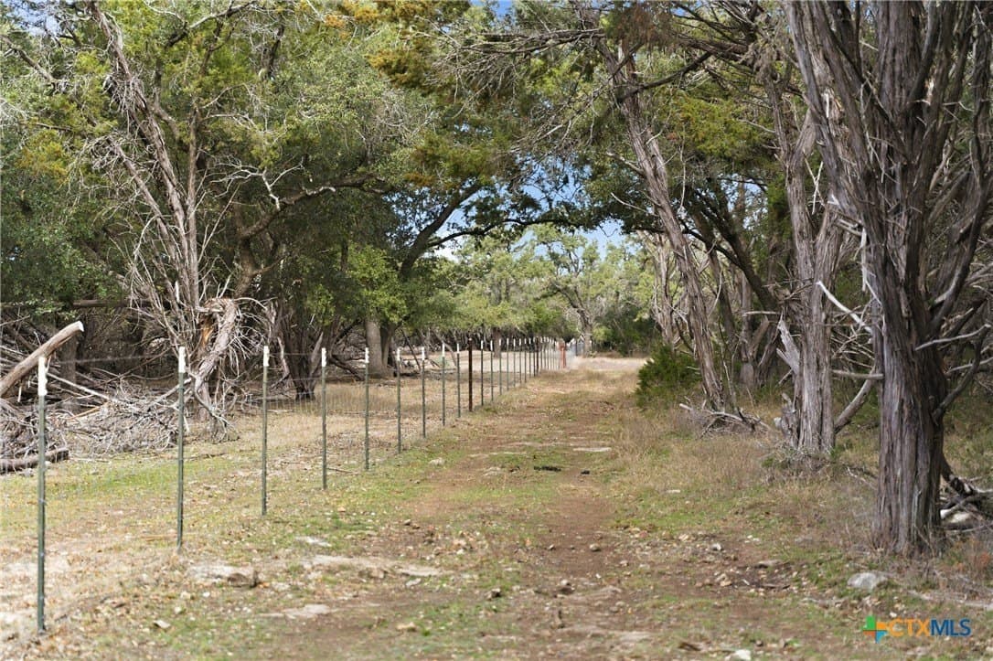 32 acres in Bell County - photo 16