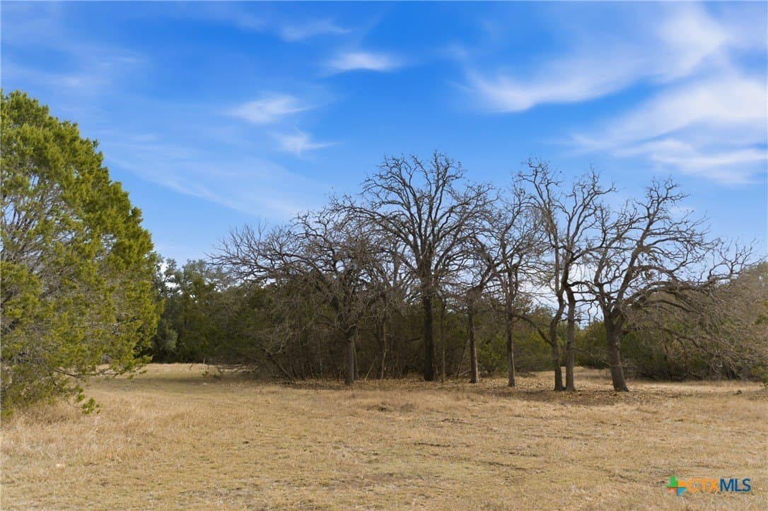 32 acres in Bell County - photo 15