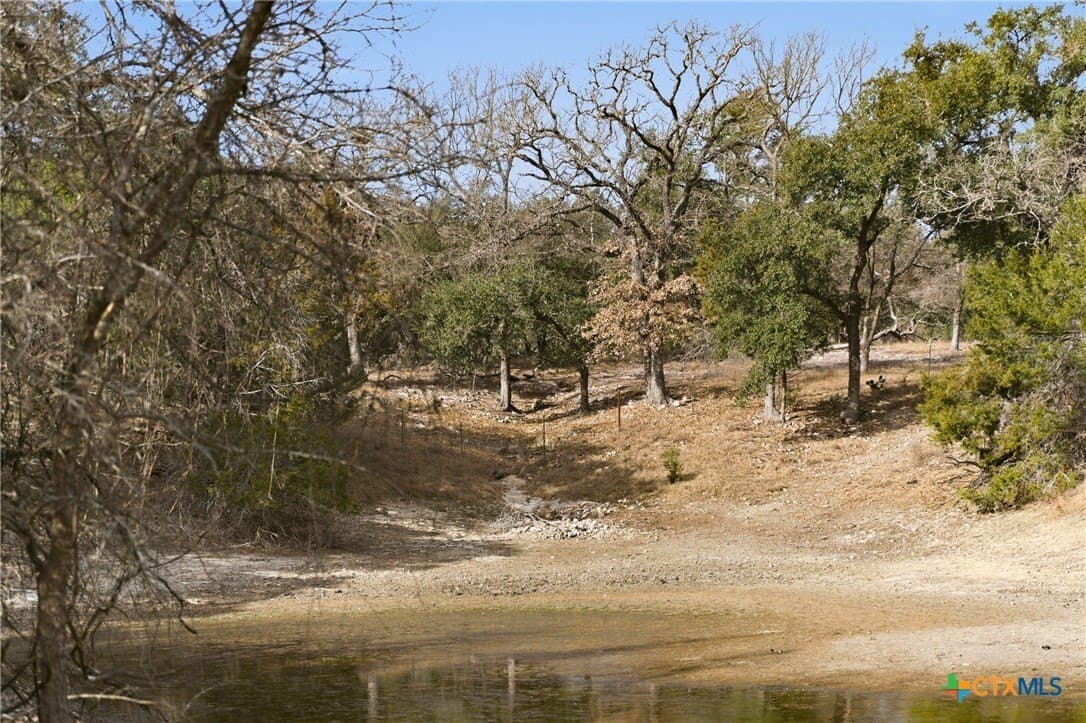 32 acres in Bell County - photo 7