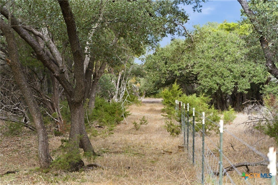 32 acres in Bell County - photo 19