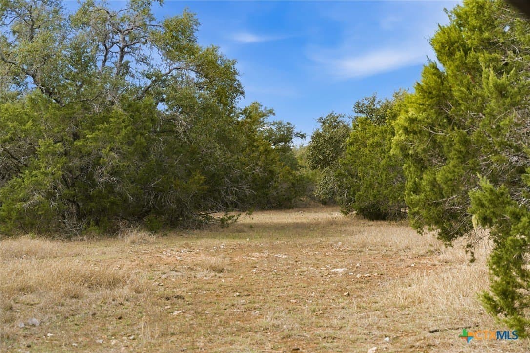 32 acres in Bell County - photo 18