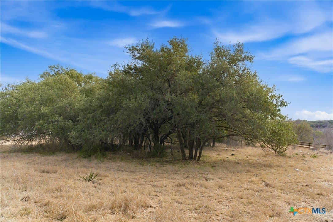 32 acres in Bell County - photo 5