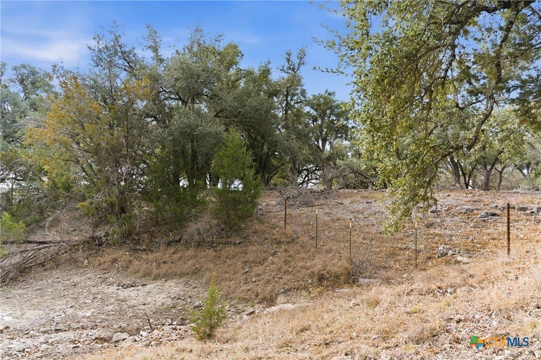 32 acres in Bell County - photo 14