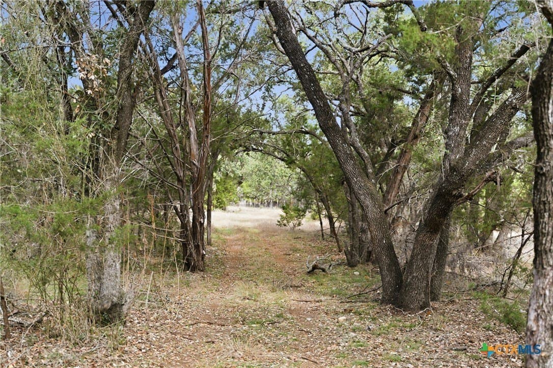 32 acres in Bell County - photo 17