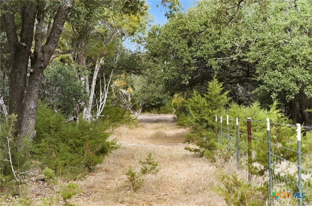 32 acres in Bell County - photo 20