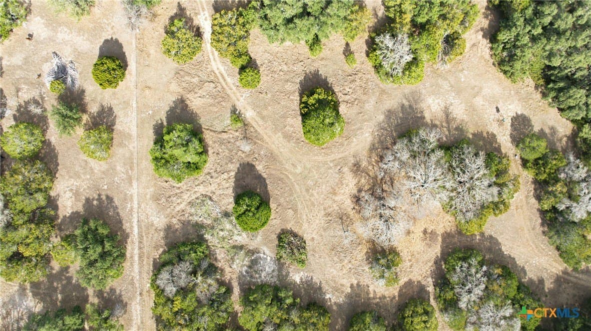 32 acres in Bell County - photo 23