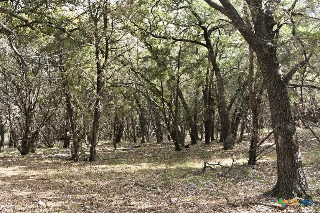 32 acres in Bell County - photo 9