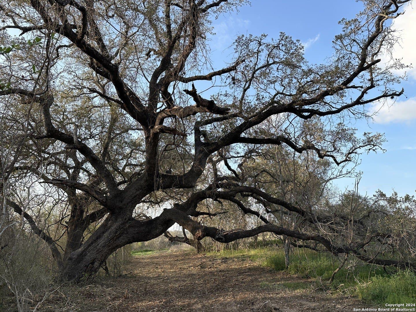 4.48 acres in Wilson County - photo 5