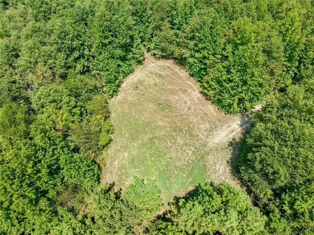 53.13 acres in Red River County - photo 22