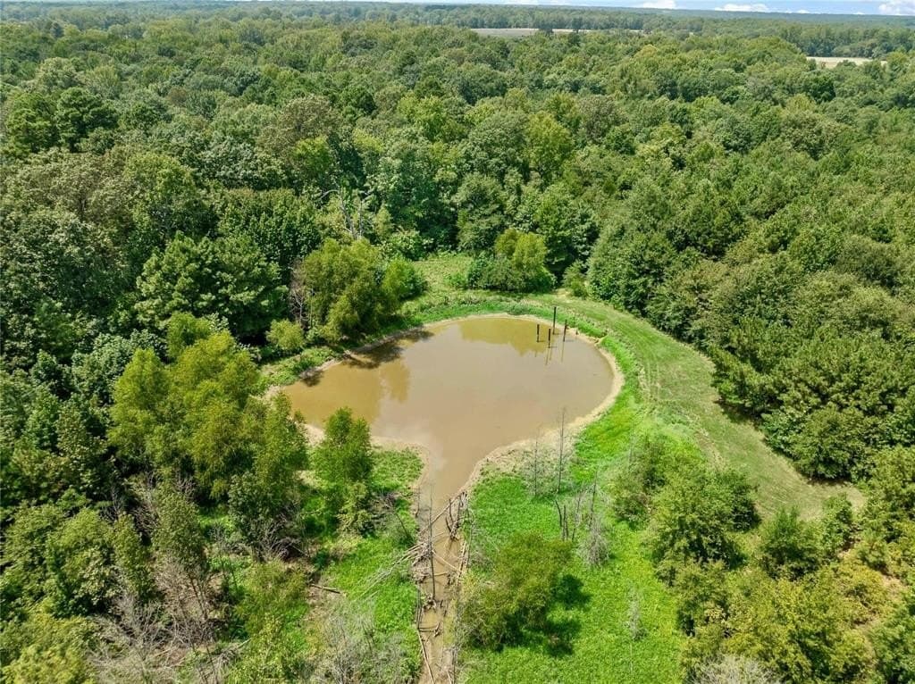 53.13 acres in Red River County - photo 23