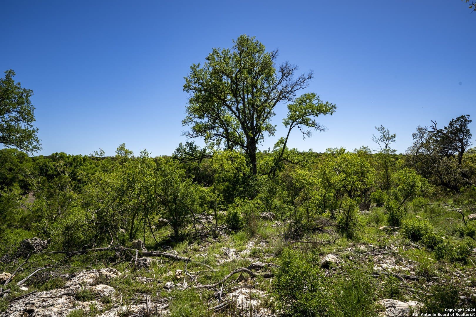 2.22 acres in Kendall County - photo 10