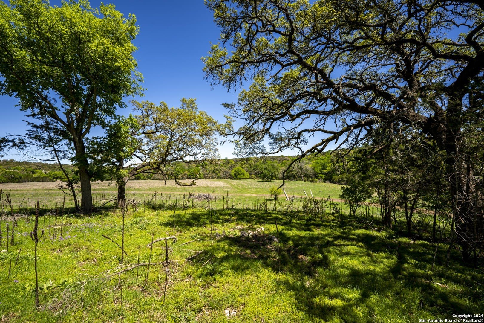 2.22 acres in Kendall County - photo 7