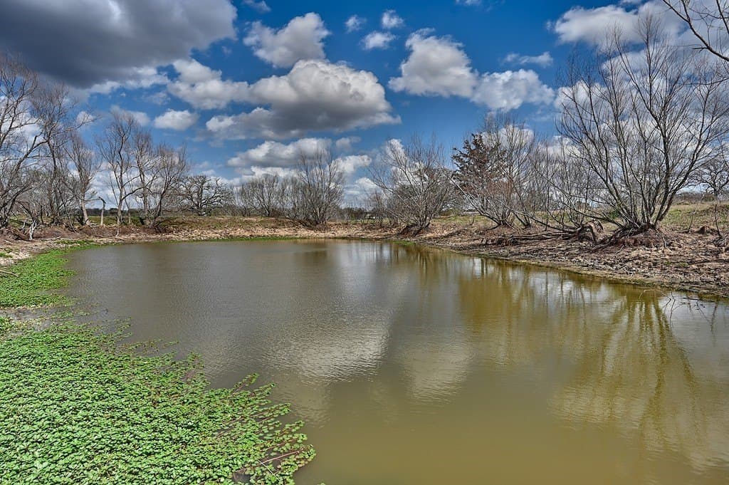 156.92 acres in Lee County - photo 8