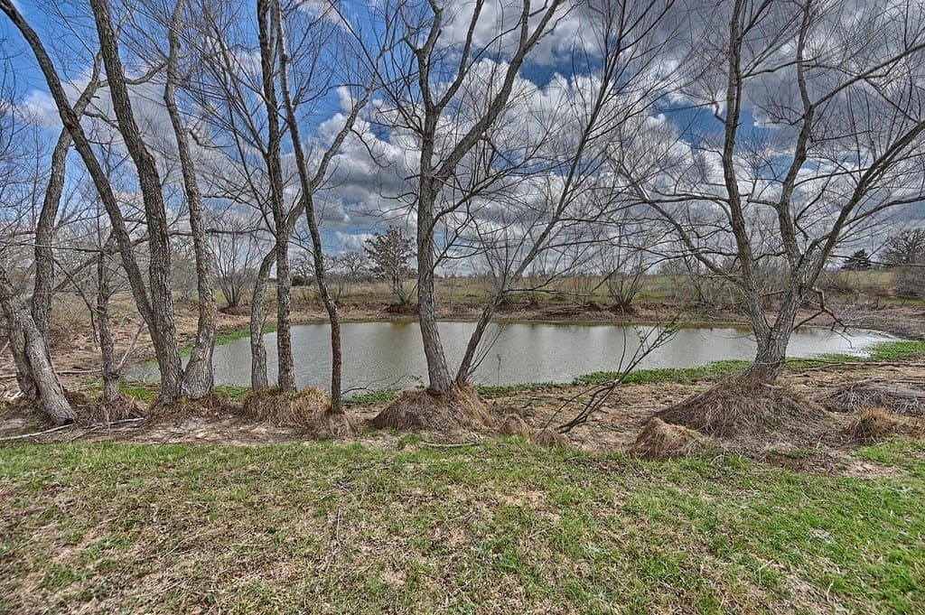156.92 acres in Lee County - photo 9