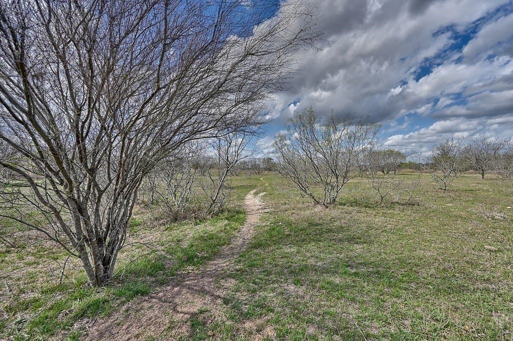 156.92 acres in Lee County - photo 3