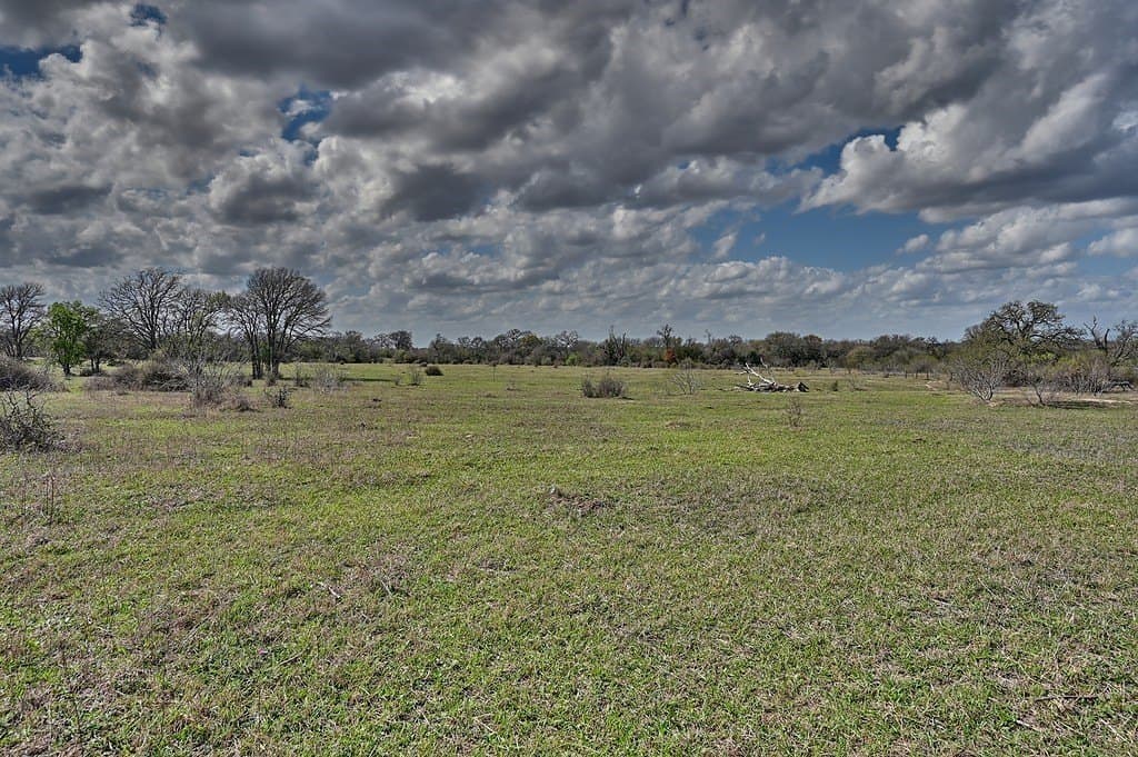 156.92 acres in Lee County - photo 12