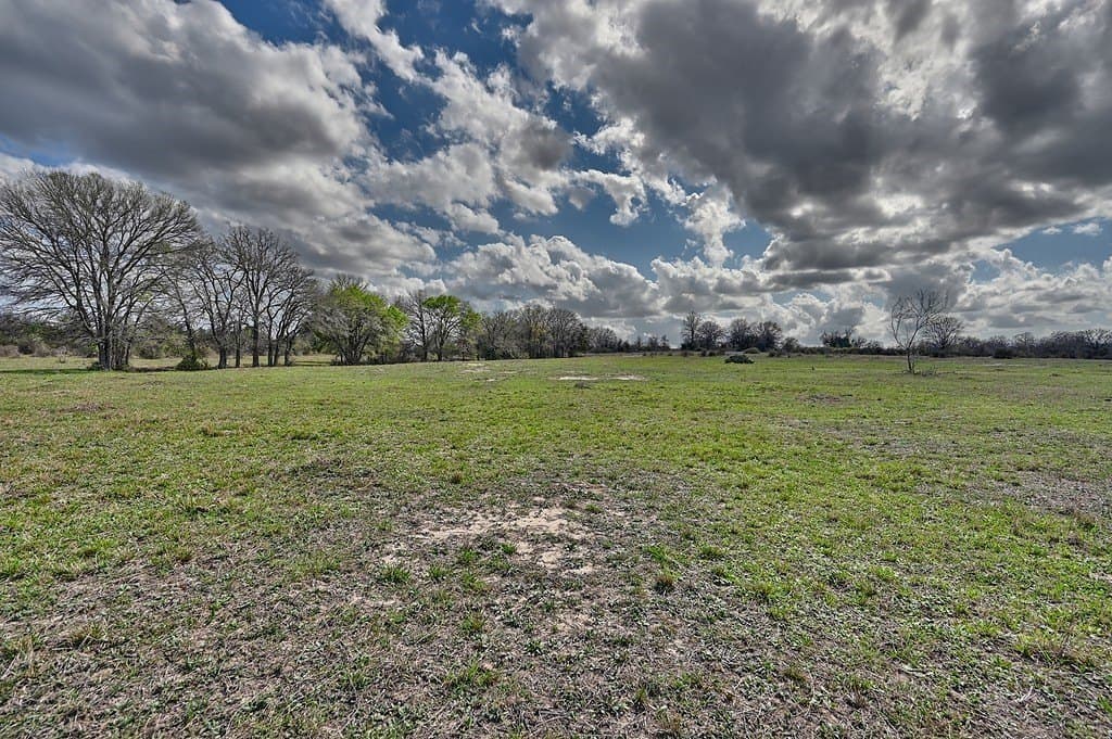 156.92 acres in Lee County - photo 11