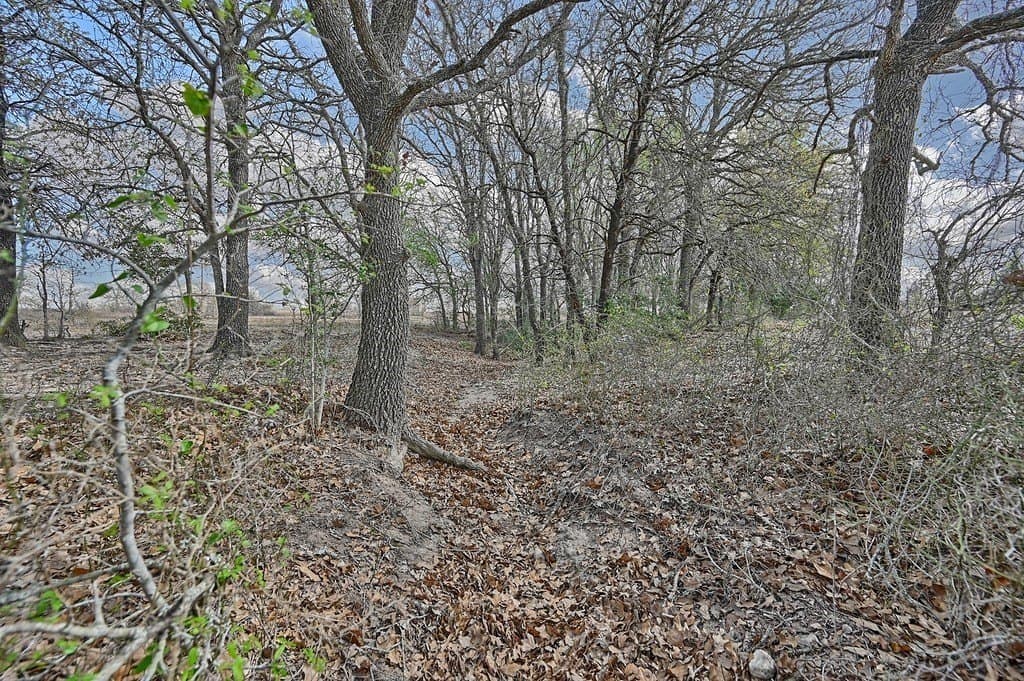 156.92 acres in Lee County - photo 17