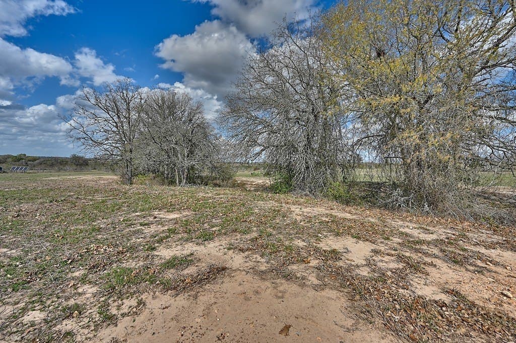 156.92 acres in Lee County - photo 14