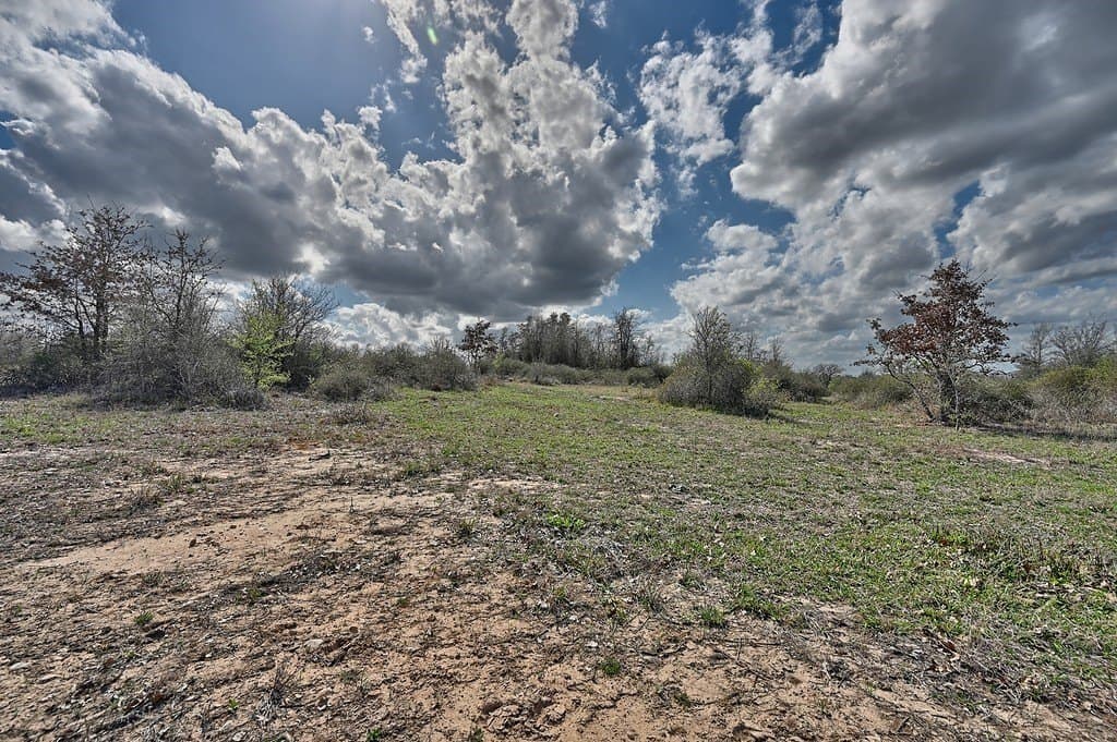156.92 acres in Lee County - photo 20