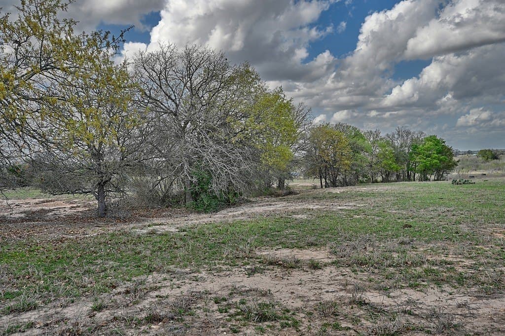 156.92 acres in Lee County - photo 2