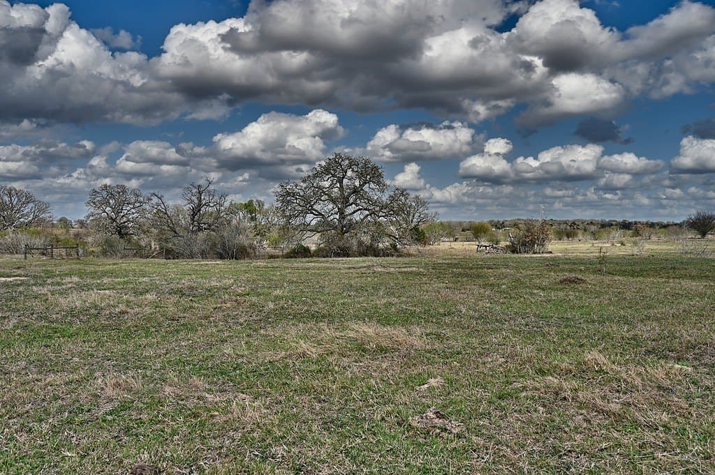 156.92 acres in Lee County - photo 4