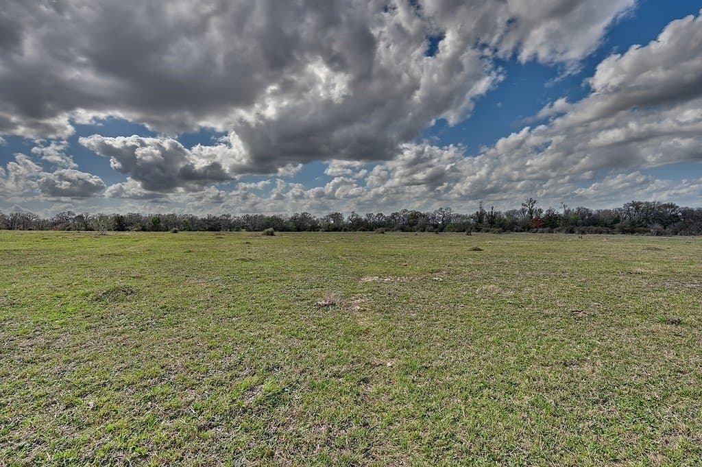 156.92 acres in Lee County - photo 10