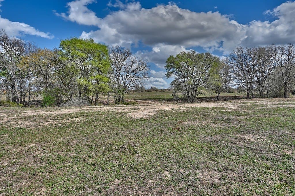 156.92 acres in Lee County - photo 16