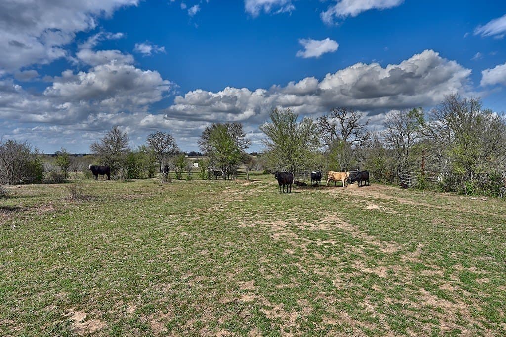 156.92 acres in Lee County - photo 19