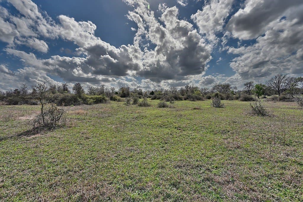 156.92 acres in Lee County - photo 21