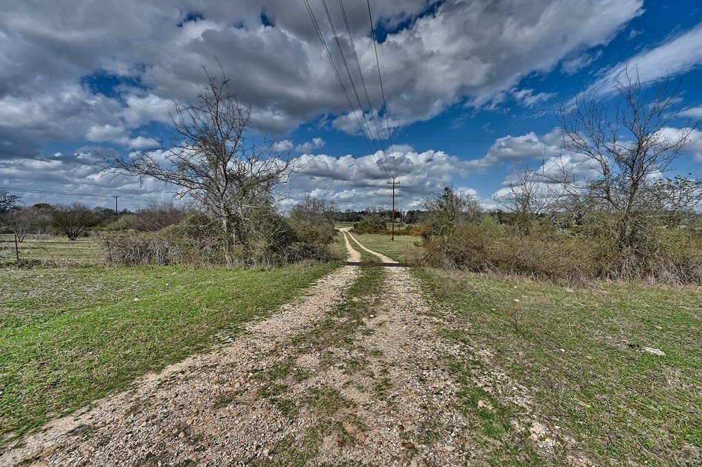 156.92 acres in Lee County - photo 6